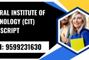Central Institute of Technology (cit) Transcript, Moi, Degree Certificate, 9599231630