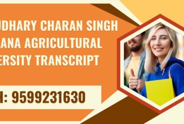 Choudhary Charan Singh Haryana Agricultural University Transcript, Moi, Degree Certificate  9599231630