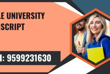 Noble University Transcript, Moi, Degree Certificate, 9599231630