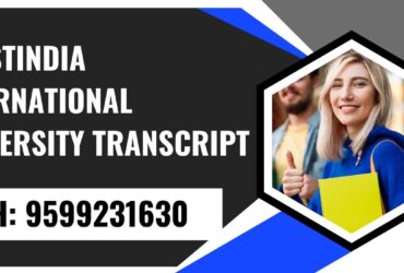 Plastindia International University Transcript, Moi, Degree Certificate, 9599231630