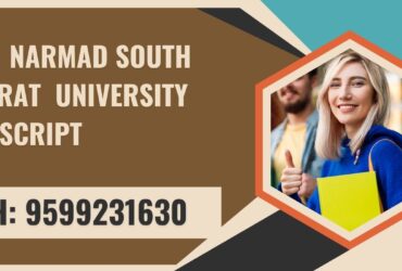 Veer Narmad South Gujarat University Transcript, Moi, Degree Certificate, 9599231630