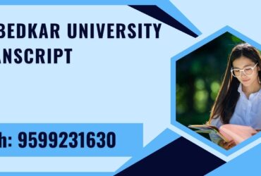 Ambedkar University Transcript, Moi, Degree Certificate, Duplicate Marksheet, lor-9599231630