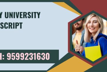 Amity University Transcript, Moi, Degree Certificate 9599231630