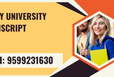Amity University Transcript, Moi, Degree Certificate, 9599231630