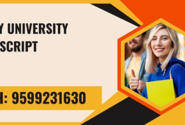 Amity University Transcript, Moi, Degree Certificate,  9599231630