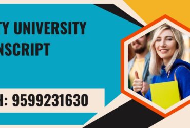 Amity University Transcript, Moi, Degree Certificate, 9599231630