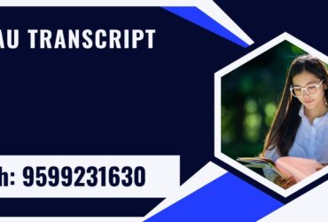 Brau Transcript, Moi, Degree Certificate, Duplicate Marksheet, lor-9599231630