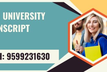 Cmr University Transcript, Moi, Degree Certificate,  9599231630