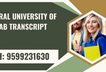 Central University of Punjab Transcript, Moi, Degree Certificate 9599231630
