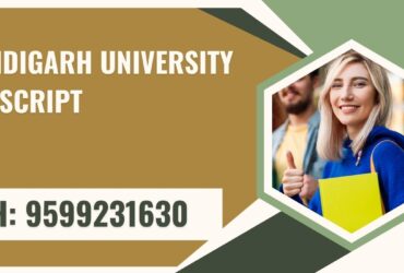 Chandigarh University Transcript, Moi, Degree Certificate 9599231630