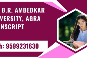 Dr. B.r. Ambedkar University, Agra Transcript, Moi, Degree Certificate, Duplicate Marksheet, lor-9599231630