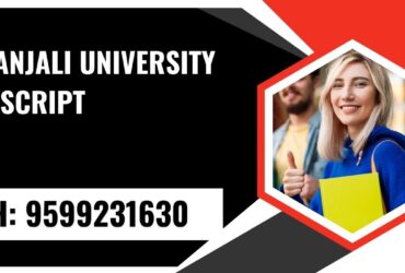 Geetanjali University Transcript, Moi, Degree Certificate, 9599231630