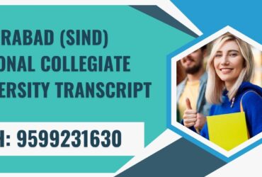 Hyderabad (sind) National Collegiate University Transcript, Moi, Degree Certificate 9599231630