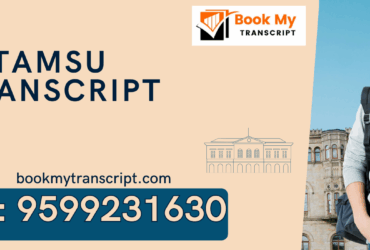 Igtamsu Transcript, Moi, Degree Certificate, Duplicate Marksheet, lor-9599231630