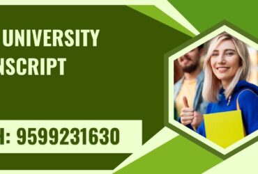 Iilm University Transcript, Moi, Degree Certificate,   9599231630