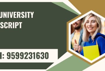 Itm University Transcript, Moi, Degree Certificate, 9599231630