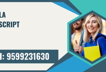 Kerala Transcript, Moi, Degree Certificate 9599231630