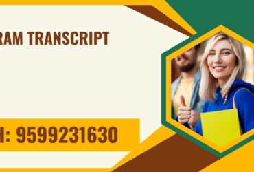 Mizoram Transcript, Moi, Degree Certificate,  9599231630