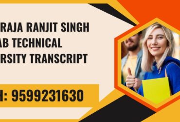 Maharaja Ranjit Singh Punjab Technical University Transcript, Moi, Degree Certificate 9599231630