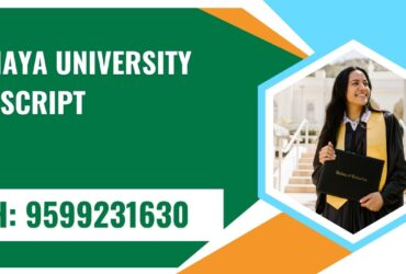Nannaya University Transcript, Moi, Degree Certificate, Duplicate Marksheet, lor-9599231630
