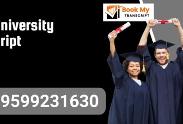 Opjs University Transcript, Moi, Degree Certificate, 9599231630