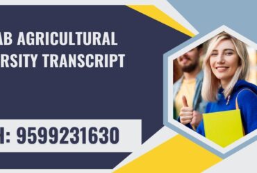 Punjab Agricultural University Transcript, Moi, Degree Certificate,  9599231630