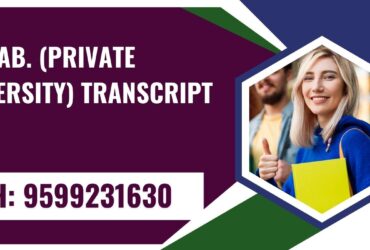 Punjab (private University) Transcript, Moi, Degree Certificate,  9599231630