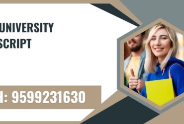 Rimt University Transcript, Moi, Degree Certificate,  9599231630