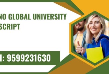 Techno Global University Transcript, Moi, Degree Certificate, 9599231630