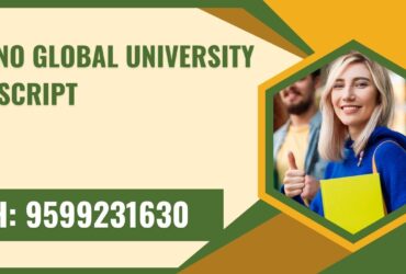 Techno Global University Transcript, Moi, Degree Certificate, 9599231630