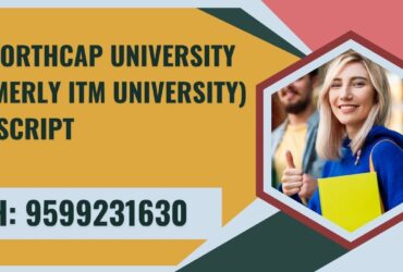 The Northcap University (formerly Itm University) Transcript, Moi, Degree Certificat  9599231630