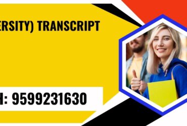 University Transcript, Moi, Degree Certificate 9599231630