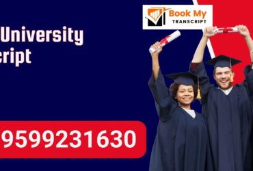 Amity University Transcript, Moi, Degree Certificate 9599231630