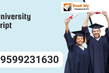 Anna University Transcript, Moi, Degree Certificate, 9599231630