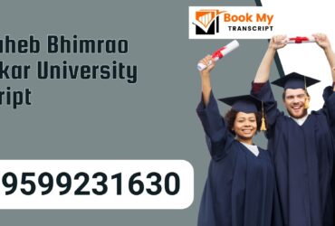 Babasaheb Bhimrao Ambedkar University Transcript, Moi, Degree Certificate 9599231630