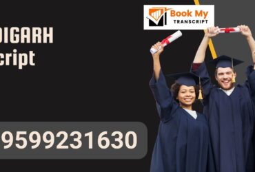 Chandigarh Transcript, Moi, Degree Certificate, 9599231630