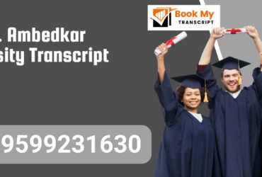 Dr. B.r. Ambedkar University Transcript, Moi, Degree Certificate, 9599231630