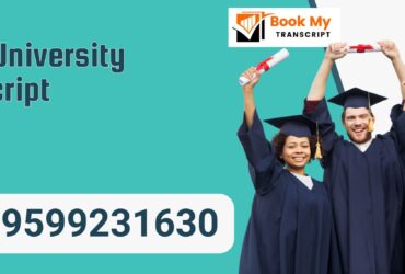 Hindi University Transcript, Moi, Degree Certificate, 9599231630