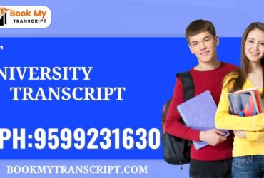 Iiit University Transcript, Moi, Degree Certificate, Duplicate Marksheet, lor-9599231630