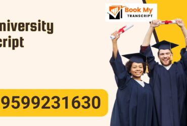 Iimt University Transcript, Moi, Degree Certificate, 9599231630