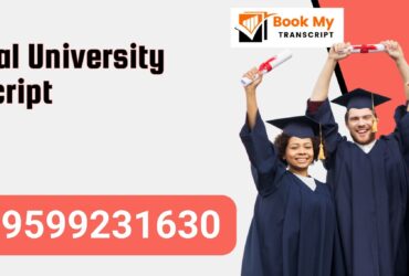 Integral University Transcript, Moi, Degree Certificate, 9599231630