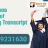Netaji Subhas University of Technology Transcript, Moi, Degree Certificate, 9599231630
