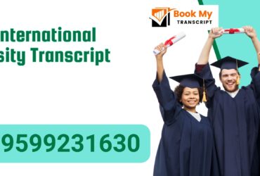 Noida International University Transcript, Moi, Degree Certificate, 9599231630