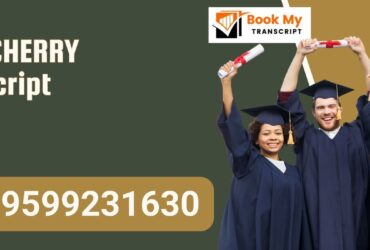 Puducherry Transcript, Moi, Degree Certificate, 9599231630
