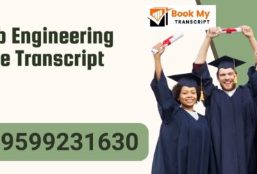 Punjab Engineering College Transcript, Moi, Degree Certificate, 9599231630