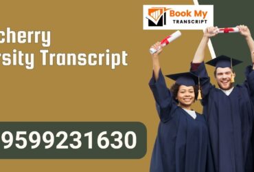 Pondicherry University Transcript, Moi, Degree Certificate, 9599231630
