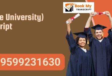 (private University) Transcript, Moi, Degree Certificate, 9599231630