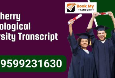 Puducherry Technological University Transcript, Moe, Degree Certificate, 9599231630