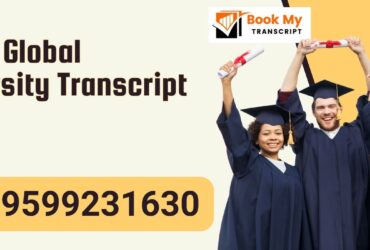 R.n.b. Global University Transcript, Moi, Degree Certificate, 9599231630