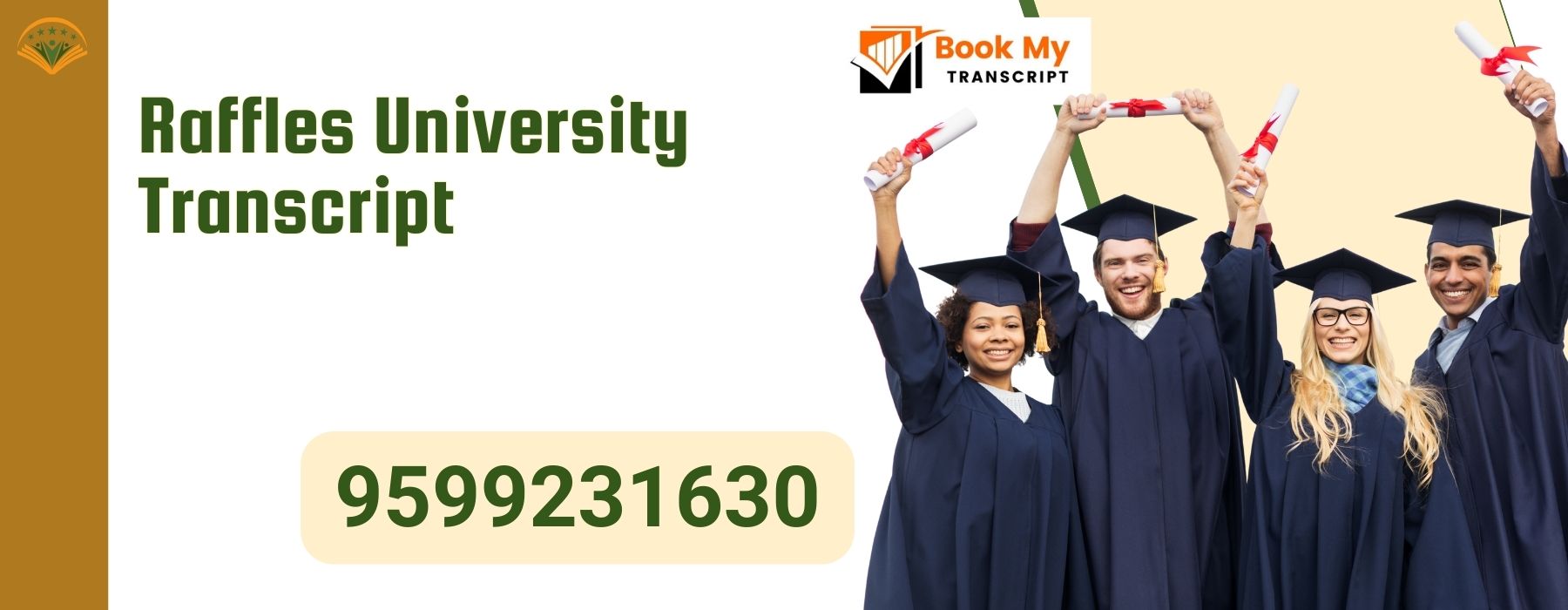 Raffles University Transcript, Moi, Degree Certificate, 9599231630